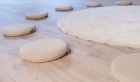 Zitschijven Tangara Groothandel voor Kinderopvang3